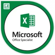 Microsoft Excel